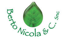 Berto Nicola, logo con goccia verde